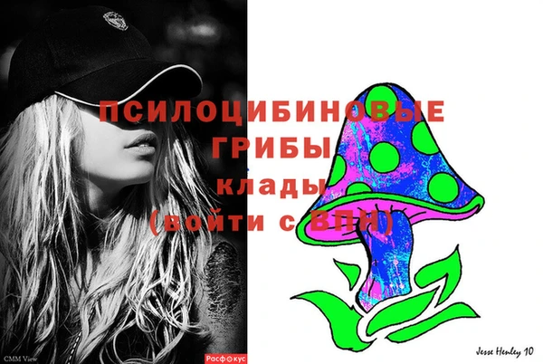 apvp Алексеевка