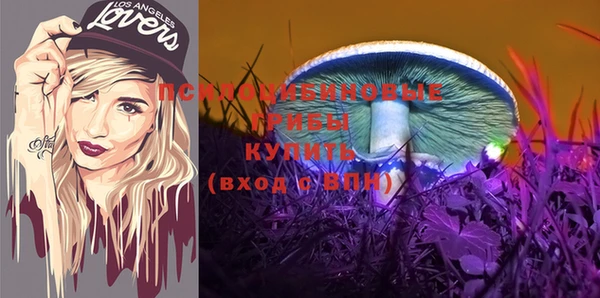 apvp Нягань